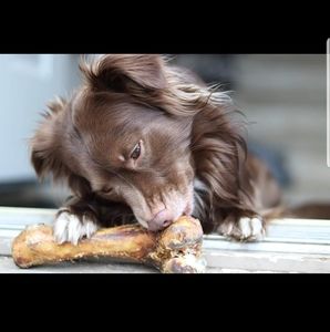 Meet your Posher, Kendy